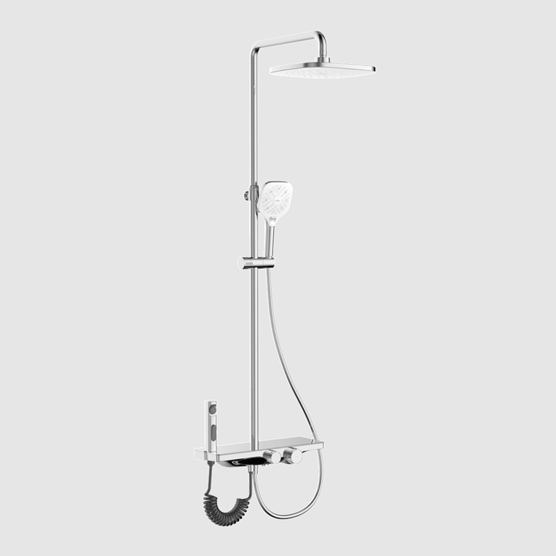 GD9380 Shower with huge storage